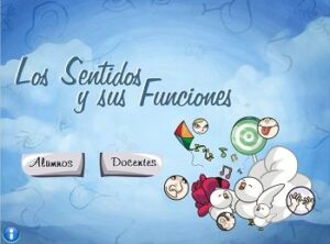 los sentidos y sus funciones