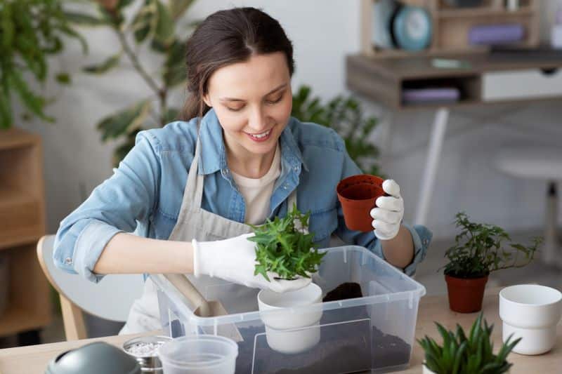 cursos de jardinería