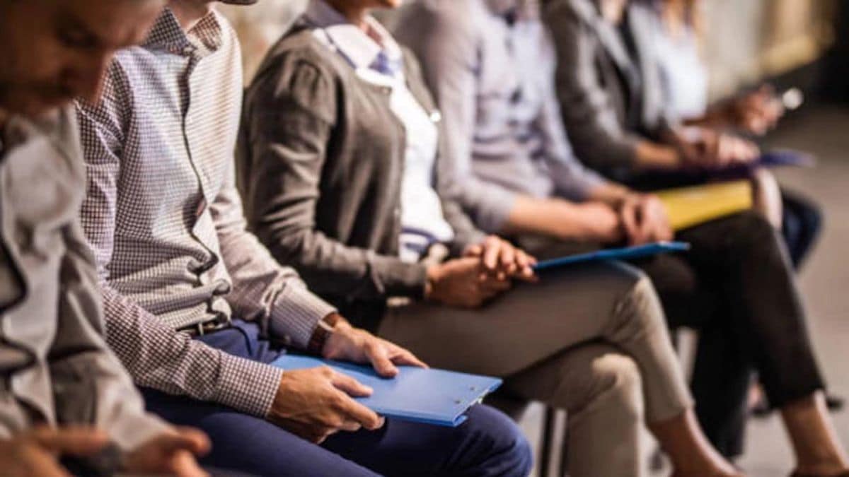 ¿Te acabas de graduar y buscas tu primer trabajo? Esto es lo que necesitas saber 1 CV Maker
