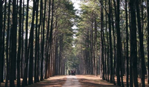 Jornadas Y Campamentos Para El Verano