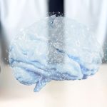 Educación del siglo XXI