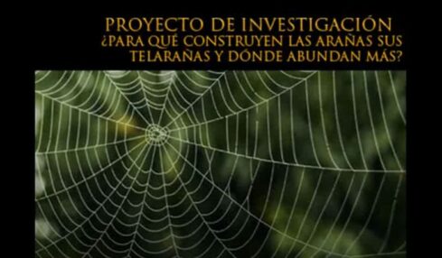 Proyecto Telaraña