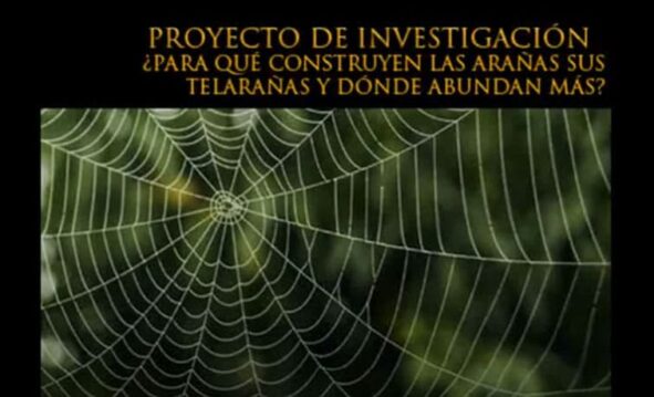 Proyecto Telaraña