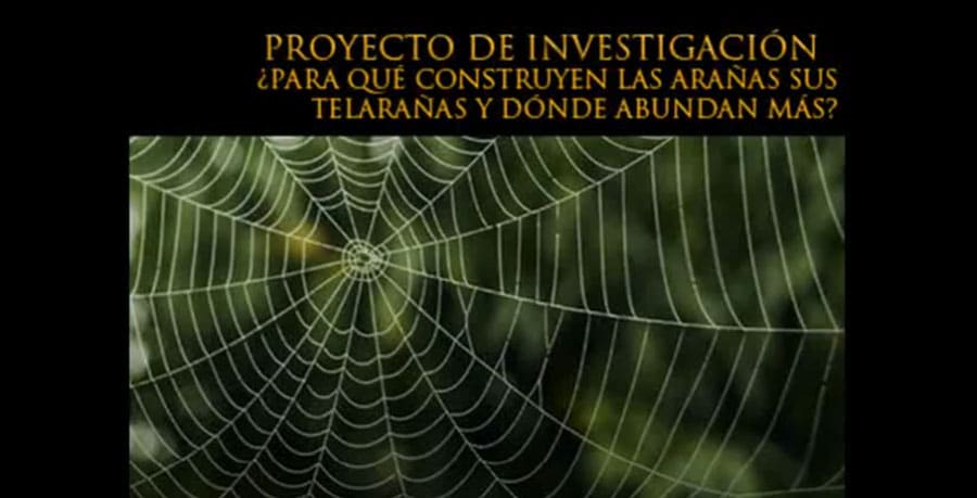 Proyecto Telaraña
