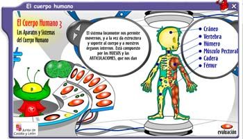 Conoce el cuerpo humano