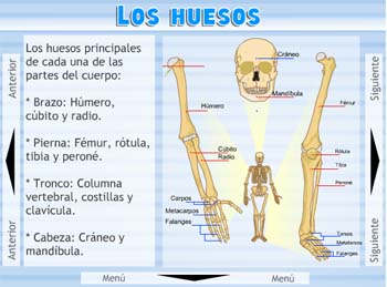 Cuerpo humano Nuestro cuerpo