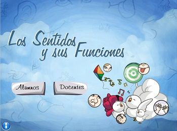 Los Sentidos Y Sus Funciones