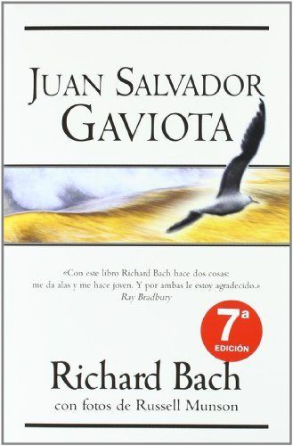 Juan Salvador Gaviota