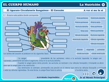 El Aparato Locomotor Y La Nutrición