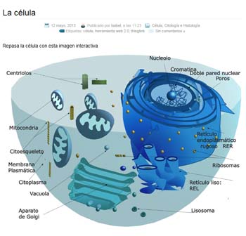 Blog Blologia