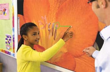 Pantallas Multitáctiles Led Lcd Mimiodisplay, Para Trabajar En Grupo