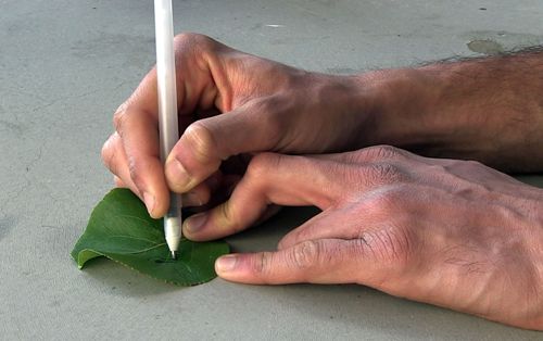 Un Bolígrafo Para Pintar Sensores