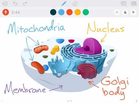 Educreations