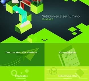 Tangram, Contenidos Para Secundaria De Digital-Text 1