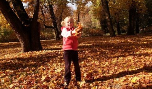 ¡Ya Estamos En Otoño! Actividades Creativas Para El Aula De Infantil 3
