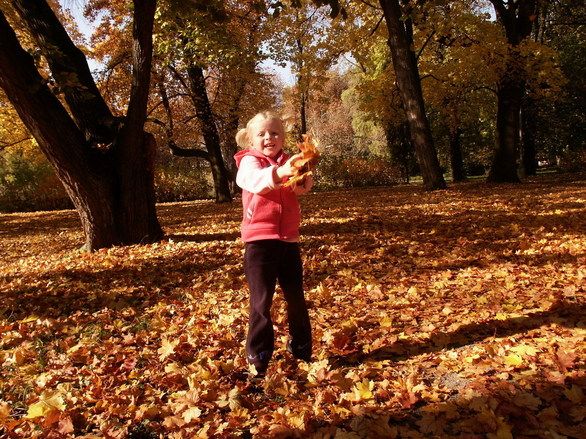 ¡Ya Estamos En Otoño! Actividades Creativas Para El Aula De Infantil 3