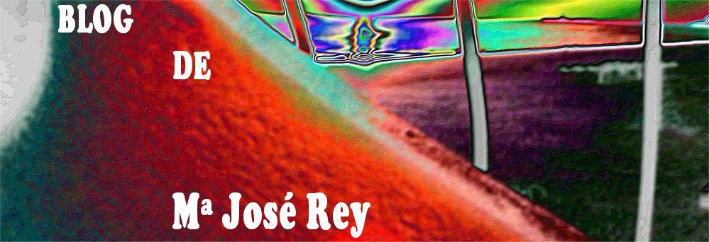 El blog de Mª José Rey