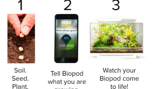 Biopod: Un Microhábitat Para Experimentos