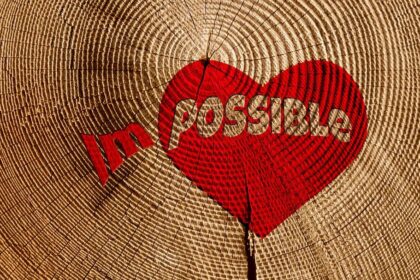 ¿Habilidad o Talento? Pautas para detectarlas en los alumnos e hijos 3