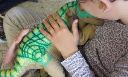 Robot-TEA, la robótica como terapia para mejorar la comunicación de niños con TEA 2