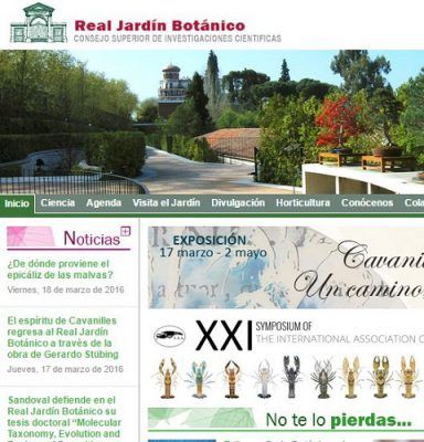 botánica