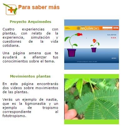 botánica