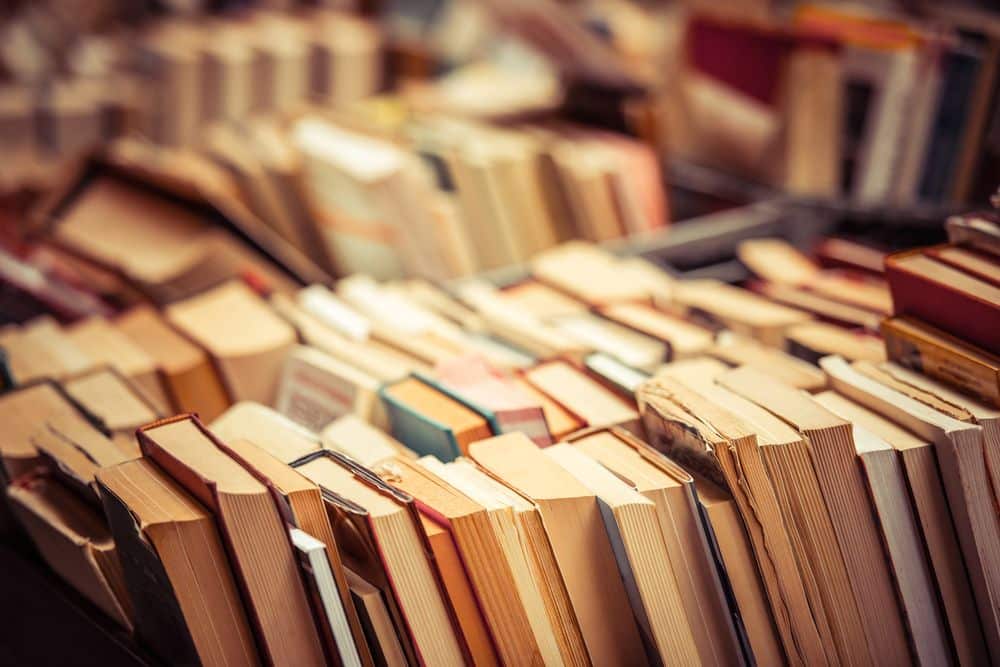 Ideas para la programación en Lengua y Literatura