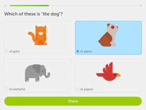 Duolingo