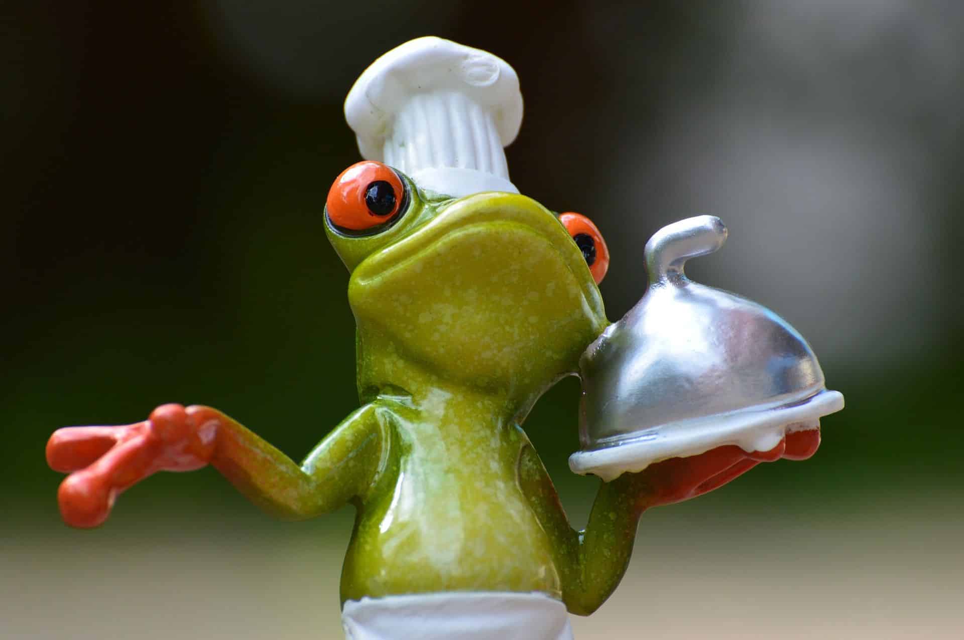 Rana cocinera @ Pixabay