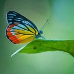 Metamorfosis, un juego para el aprendizaje a través del movimiento 2