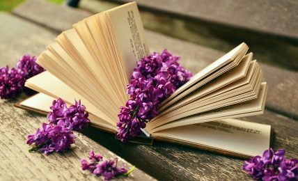 5 ideas sobre proyectos de programación para... Lengua y Literatura (IV) 3