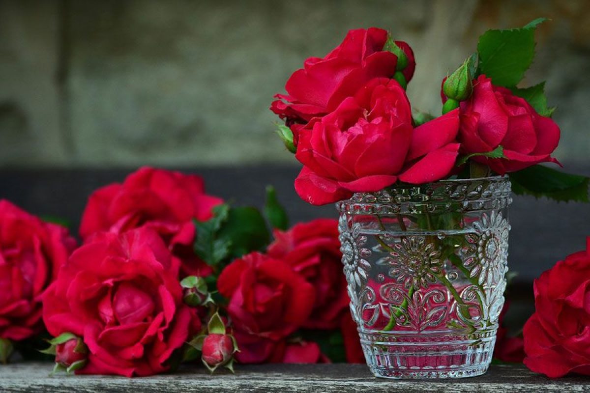 5 actividades sobre naturaleza para realizar durante "el mes de las flores" 2