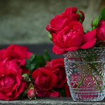 5 actividades sobre naturaleza para realizar durante "el mes de las flores" 2