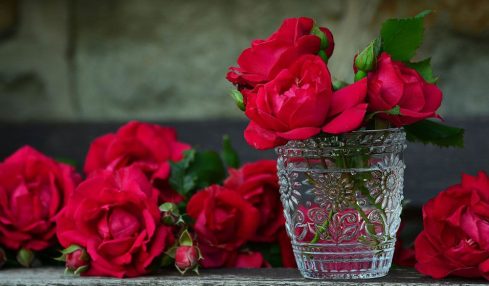 5 actividades sobre naturaleza para realizar durante "el mes de las flores" 2