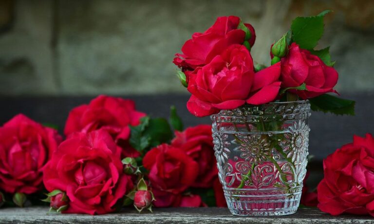 5 actividades sobre naturaleza para realizar durante "el mes de las flores" 2