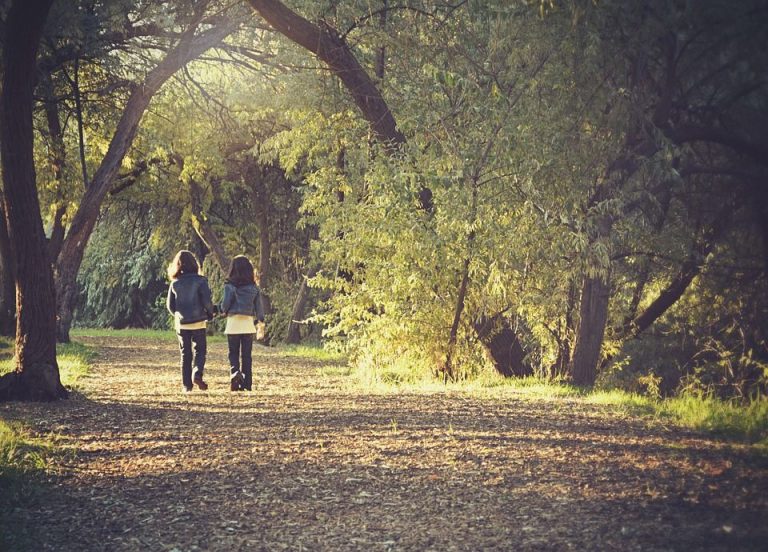 Claves para que tus alumnos emprendan el camino hacia la felicidad 1