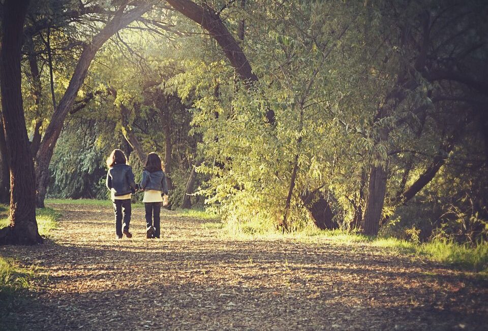 Claves Para Que Tus Alumnos Emprendan El Camino Hacia La Felicidad 1