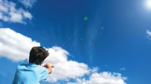 Volando Una Cometa Deberes En Verano