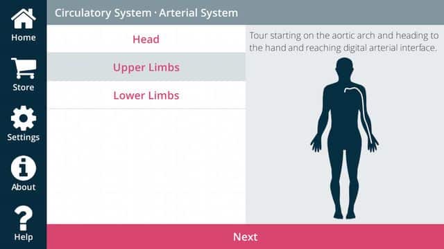 anatomyou