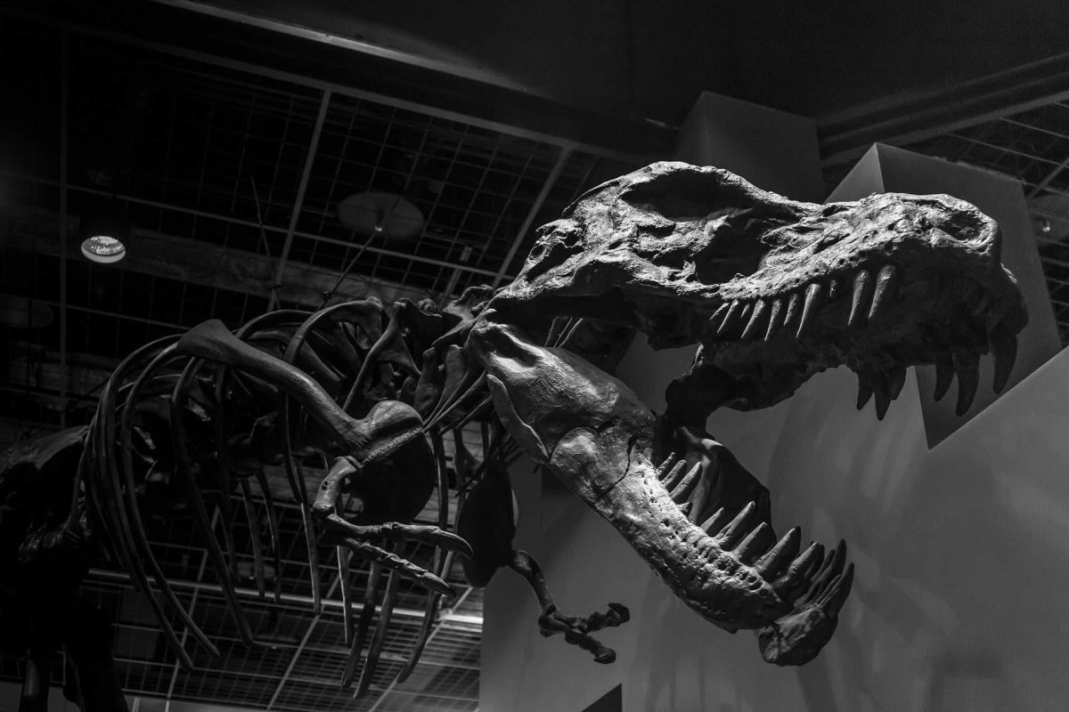 15 apps educativas sobre el mundo de los dinosaurios 10 apps educativas sobre el mundo de los dinosaurios 6