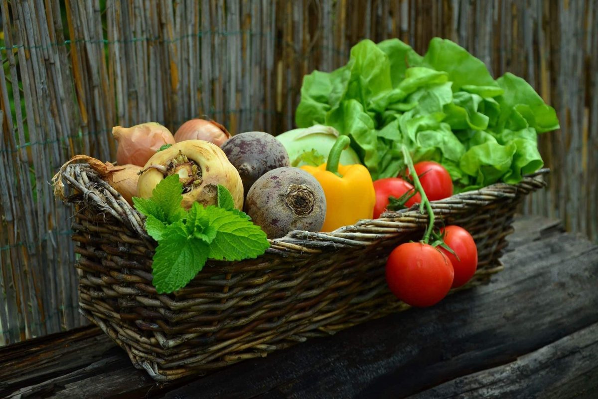 apps para comer sano