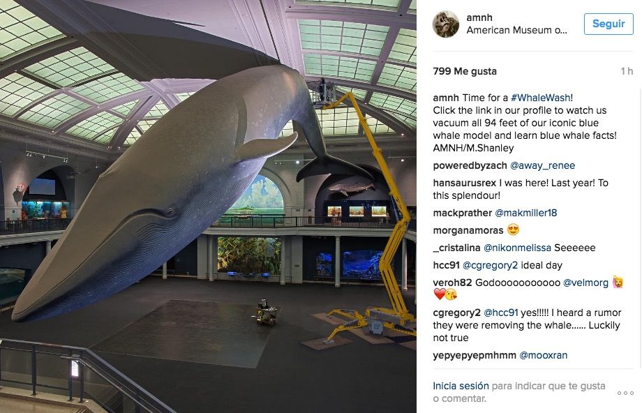 amnh instagram