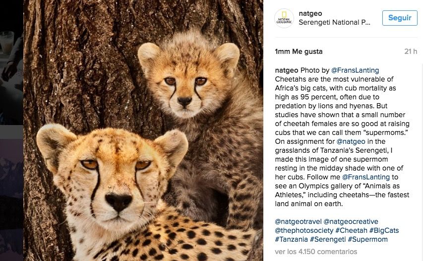 Instagram National Geographic