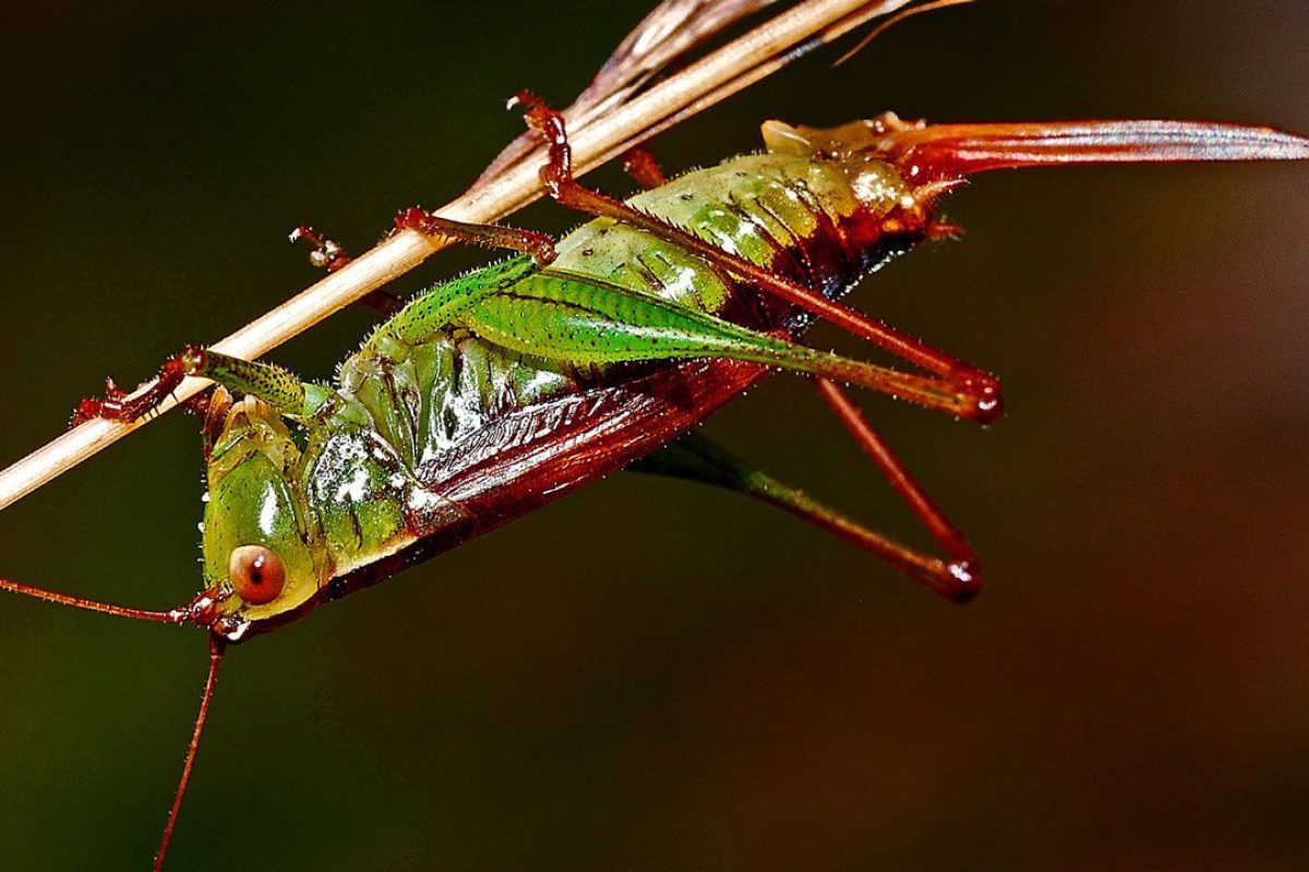 ¡Vuelta al cole! Ideas para la asignatura de Biología ¡Vuelta al cole! Ideas para la asignatura de Biología