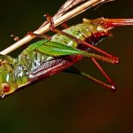 ¡Vuelta al cole! Ideas para la asignatura de Biología