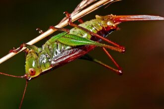¡Vuelta al cole! Ideas para la asignatura de Biología