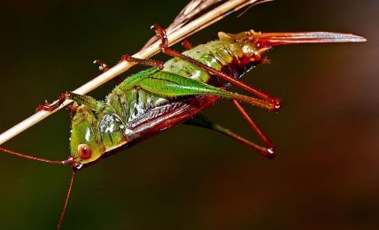 ¡Vuelta al cole! Ideas para la asignatura de Biología