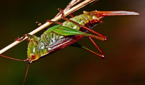 ¡Vuelta al cole! Ideas para la asignatura de Biología