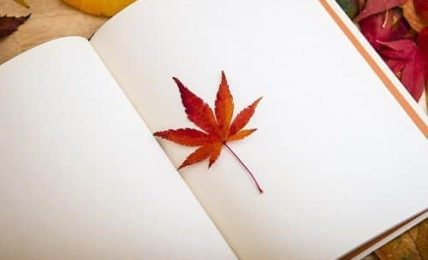 eventos educativos de octubre 2016