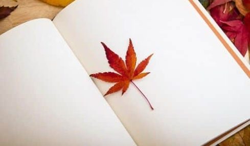 eventos educativos de octubre 2016